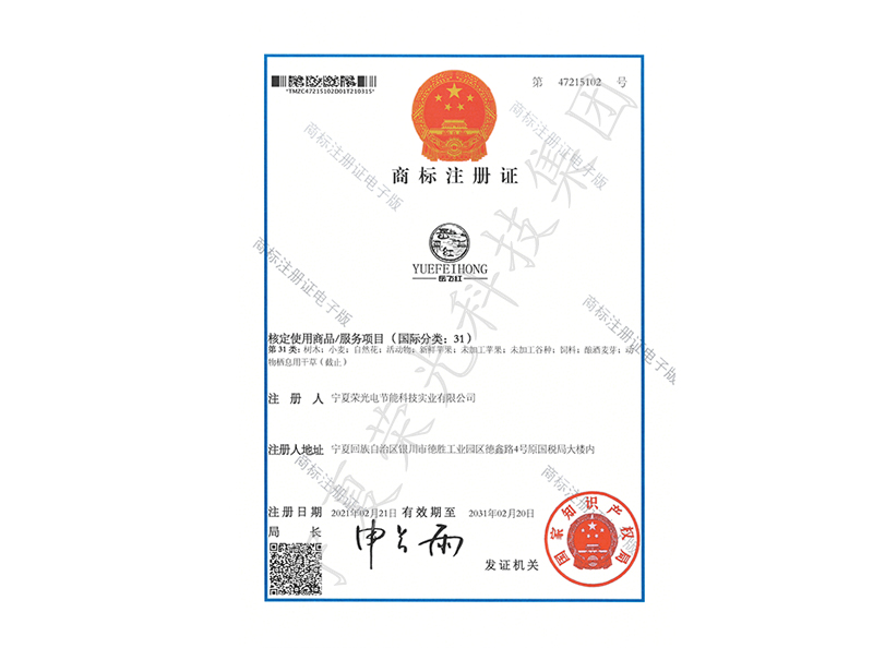 岳飞红商标注册证2
