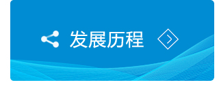 发展历程